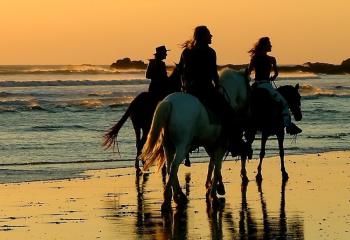 Taking a horseback ride on a beach in Costa Rica is a quintessential Costa Rican experience.